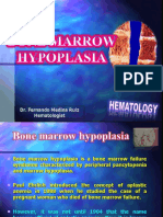 Bone Marrow Hypoplasia 2023