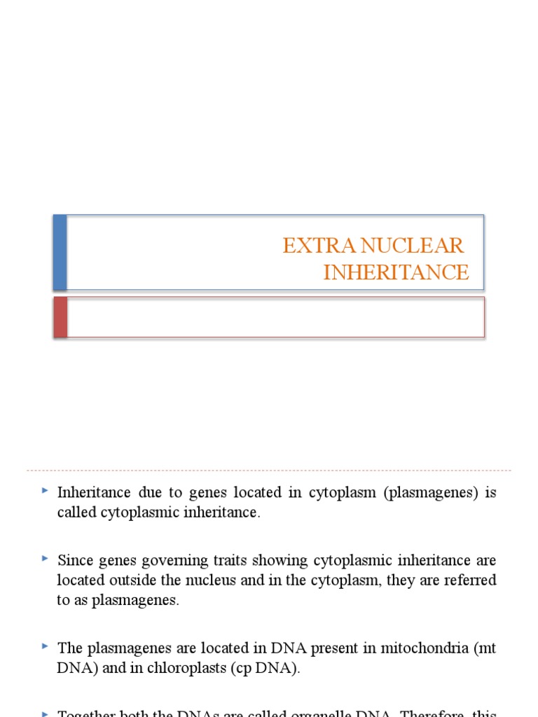 Extranuclear Inheritance and Cytoplasmic Traits | PDF | Mitochondrial ...