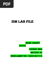 Ism Lab File