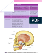 Anatomia Clinica (PDFDrive) - 272