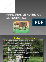 3.-Principios de Nutricion