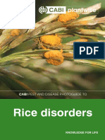 Rice Disorders 1550759358