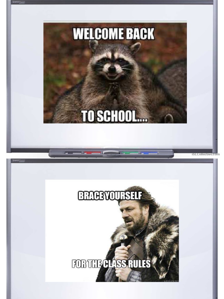 Classroom Rules Memes PDF