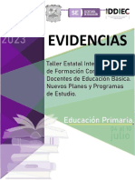 Teifc Evidencias-1