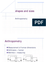 Anthropometry Workplace Design