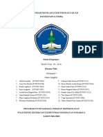 01 - Reg A - Laporan Praktikum Sistem Sensoris