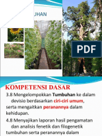 2 Tumbuhan Plantae