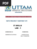 It Project-1