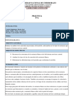 Informe de Practica de Observación Sustancia Blanca