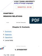 Chapter 6 Meaning Relations
