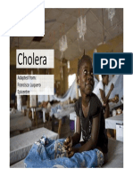 Cholera 2019 Adapted From Luquero