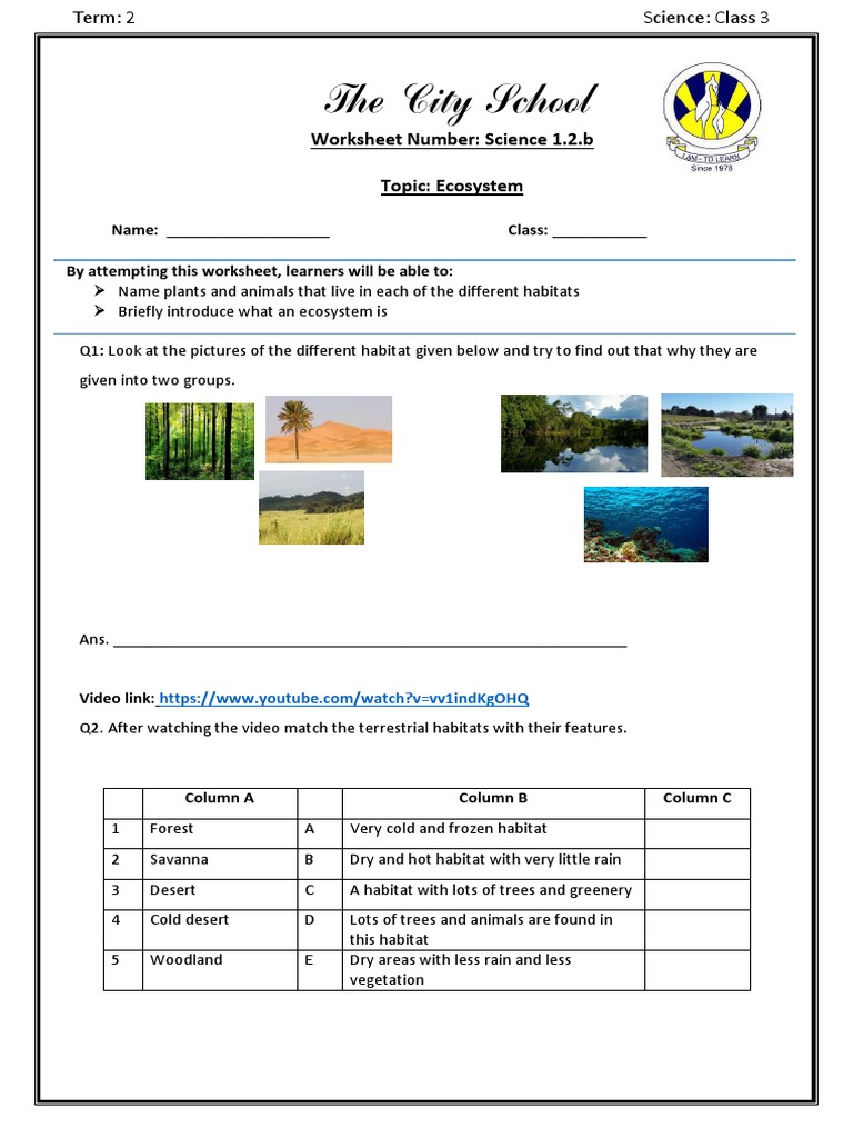 Class 3 Ecosystem Worksheet | PDF | Foreign Language Studies | Home ...