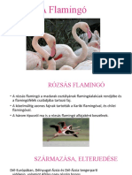 A Flamingó
