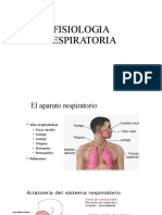 Fisiologia Respiratoria