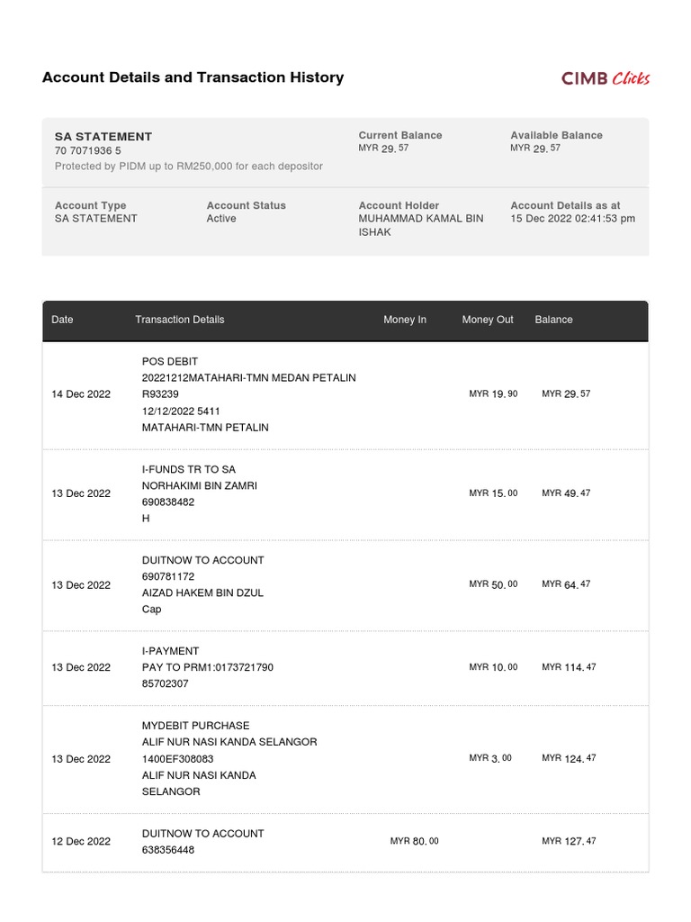 Bank Statements PDF Payments Business Economics