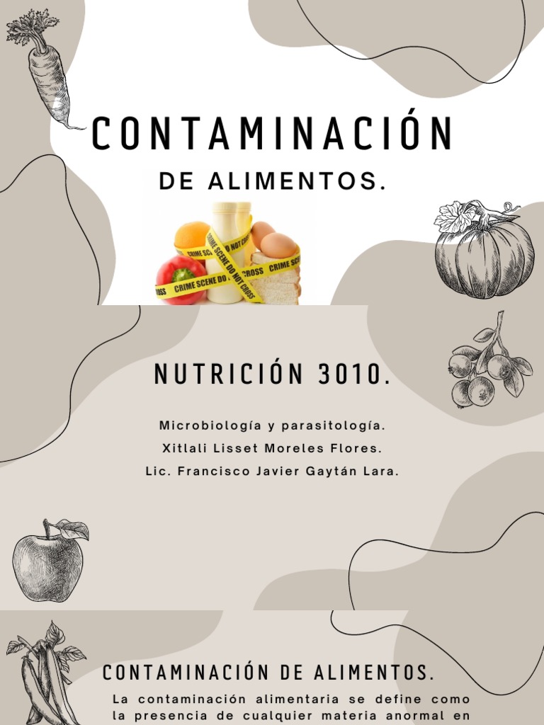 Contaminación de Alimentos: Tipos y Fuentes | PDF | Alimentos ...