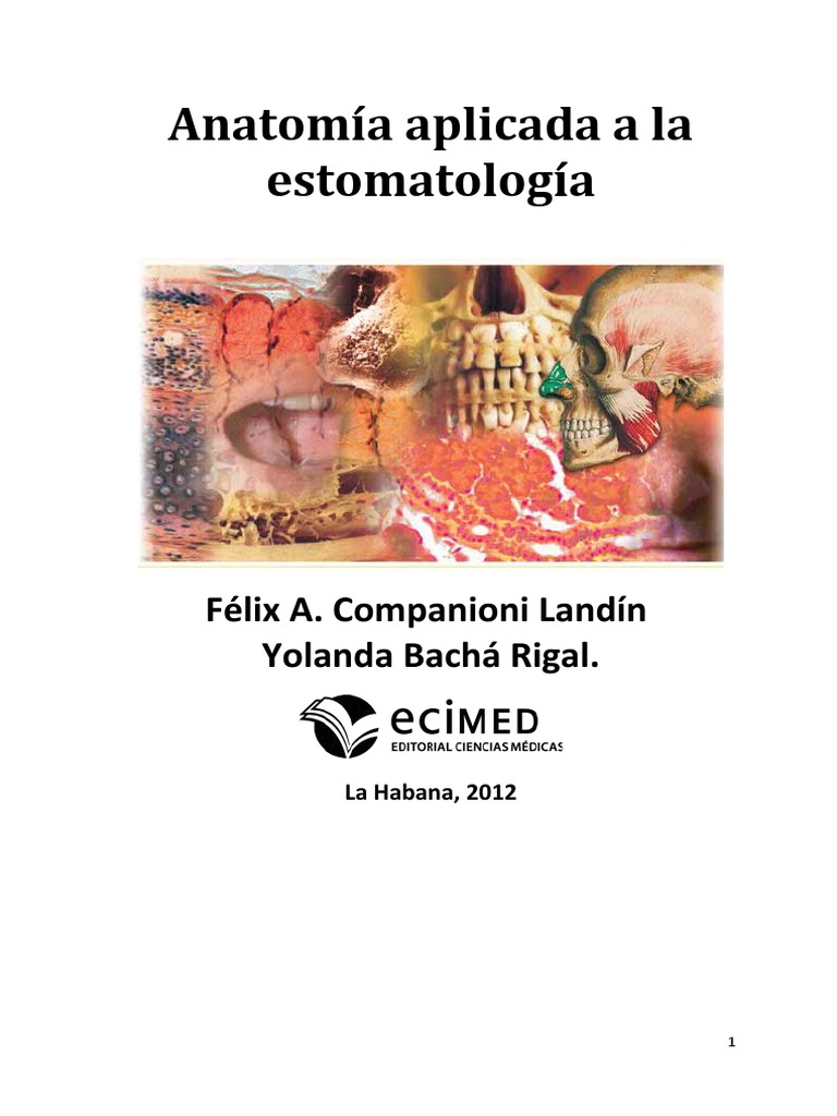 Anatomía de la fosa subtemporal | PDF | Cráneo | Cabeza y cuello humanos