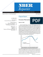 16. Program Report_Economic Fluctuations and Growth, 2010