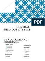 Central Nervous System