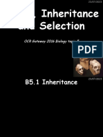 B5 Genes - Inheritance and Selection