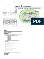 Cadena de Transporte de Electrones