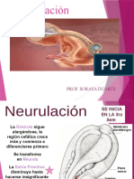 Neurulación Prof Soraya Duarte 2023