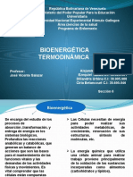 Presentacion Bioquimica