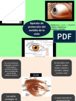 Aparato de Protección Del Sentido de La Vista