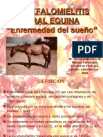 Encefalomielitis Viral Equina