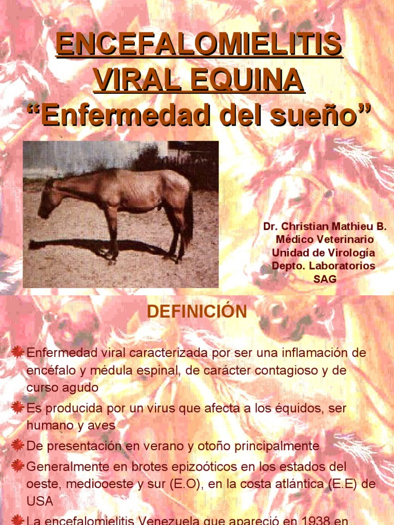 Encefalomielitis Viral Equina PDF Virus Epidemiología