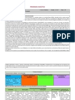 Plan Analitico