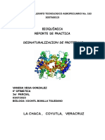 Reporte de Practica - Desnaturalizacion de Proteinas BQM VVG