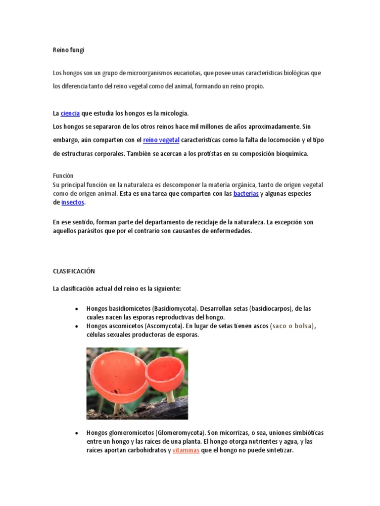 Hongos Pdf Hongo Molde