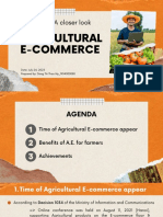 Topic 9 Closerlook Agricultural E-Commerce