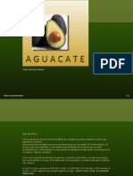 56-Aguacate (CR)