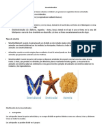 Plan de Invertebrados PDF