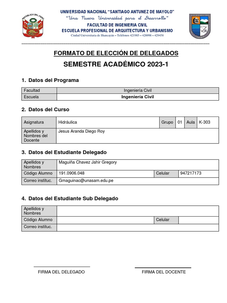 Formato Elección Delegados 2023 1 Hidraulica | PDF