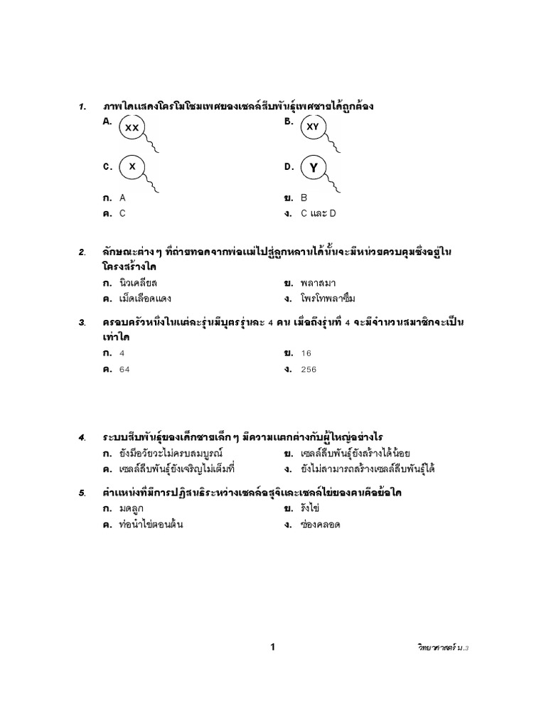 3 pdf