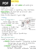 Cerebral Cortex