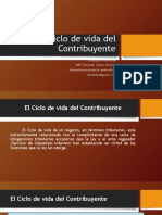 PDF Ciclo de Vida Del Contribuyente Felipe Olivares Docencia