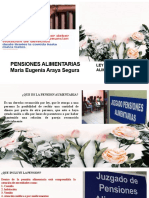 Pensiones Alimentarias