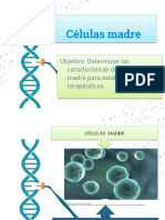 1-G - Células Madre