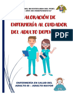 Valoración de Enfermería Al Cuidador