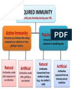 Acquired Immunity: Active Immunity Passive Immunity