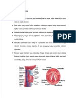 PDF Laringoskopi Indirek Compress 2