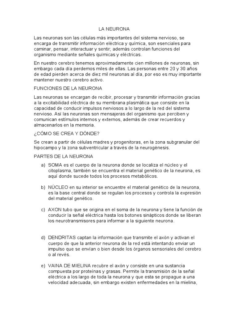 Funciones y Partes de la Neurona | PDF | Neurona | Axon