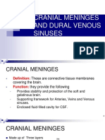 Cranial Meninges)