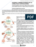 Diabetes Mellitus E Hipoglucemia