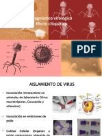 P9 Dx. Virológico Corta