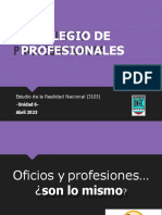 Colegio Profesional 2023 128708310601